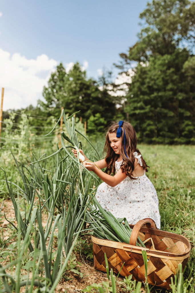 Farm-to-table dining experience at Claywood restaurant in Hendersonville, North Carolina. Best Restaurants, Hendersonville North Carolina