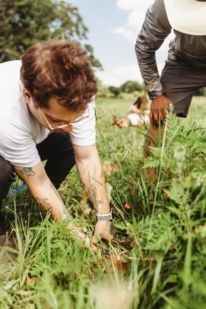 Farm-to-table dining experience at Claywood restaurant in Hendersonville, North Carolina. Best Restaurants, Hendersonville North Carolina