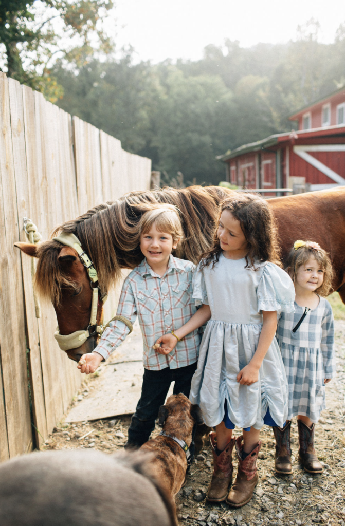 Best restaurants near me in Hendersonville NC